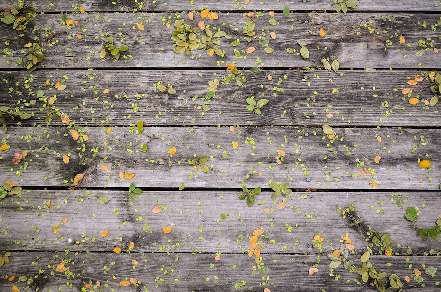 Deck anf fence Spring Cleaning