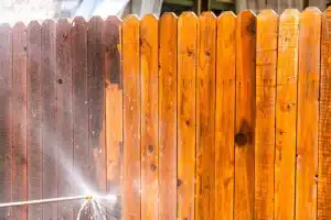 Fence Cleaning Services